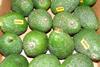 Avocados_Peru__1__04.JPG