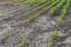 The NFU urged ministers to fast-track water investment and planning reform
