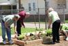 Monroe County senior citizens picking fresh