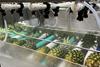JBT Marel ProDOSE Pineapple Wax Dosing Machine