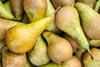 Conference pears
