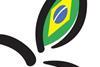 Brazilian limes logo close-up