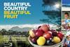 RSA Hortgro campaign 2018-19 stonefruit beautiful country beautiful fruit