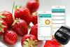 food scanners CREDIT Tellspec