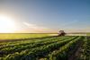 Farm income will be examined in the study