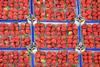Generic strawberry trays display Adobe Stock