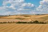 Parts of the UK are facing a second consecutive year of drought