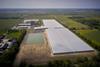 Dyson Farming's strawberry production Carrington site