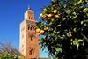 Spanien: 33% mehr Obst und Gemüse aus Marokko