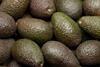 Mexiko: Avocado-Export profitiert von starker Nachfrage aus China