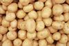 Nomad Foods is increasing potato waffle output