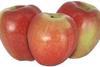 Apple overhang threat