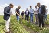 Albert Heijn potato biodiversity alliance