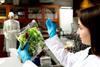Biologisch abbaubare Verpackung, die Shelf life verlängert