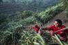 Innocent’s Farmer Innovation Fund supports growers to care for the planet