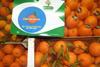 ES Clemensoon clementine citrus