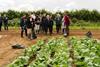 With renewed commitment from ministers, the organic sector is generally optimistic about the plan