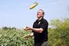 SB-280- jon barfoot juggling sweetcorn