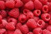 Himbeeren