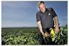 Ayrshire new crop smashes records