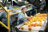 Citrus is a major fresh produce export from Spain to the UK
