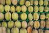 Vietnamese durian Vietnam AdobeStock_962894185