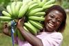 Waitrose Faitrade promise off to a flying start