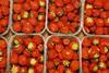 ES Huelva strawberries punnets