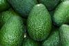 CL avocados Asoex