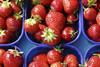 Strawberries general