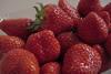 BVEO: Saisonstart Erdbeeren