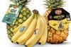 Fresh Del Monte Produce Zootopia 2 promotion
