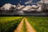 Avoid climatic consequences