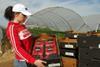 Best Alliance Strawberries Huelva BestFragum Rewe