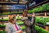 Foto: Albert Heijn