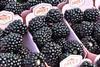 Sweet and Sunny Von blackberries