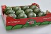 Westfalia avocados box AFL 2025