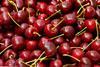 Hortinvest export cherries NZ