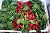 A new radish website has been launched