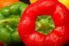 Fresh Bell Peppers_3501280