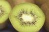 Kiwi_Web_06.jpg