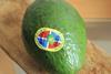 DR avocados