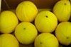 Which port will receive Brazilian melons: Sheerness bound?