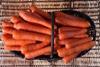 Home-grown carrot category works story of provenance