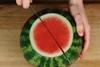 Exceed watermelon Hazera Staay
