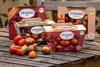 New Perino Packaging