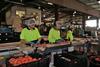 AU backpackers in packhouse