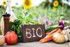 Bio-Schild mit Gemüse