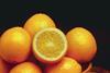 Kalifornien: Rückgang bei Orangen und Grapefruit