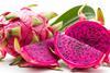 Red pitahaya